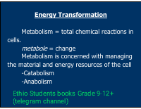 Energy Transformation.pdf